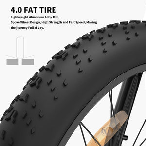 Aostirmotor S07 Commuting E-Bike Fat Tire