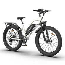 Load image into Gallery viewer, Aostirmotor S07-G 750W City Commuter Electric Bike 48V13AH 