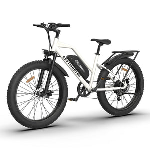 Aostirmotor S07-G 750W City Commuter Electric Bike 48V13AH 