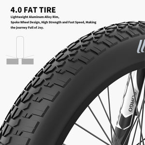 Aostirmotor S18 750W All Terrain Mountain E-Bike Fat Tire