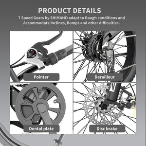 Aostirmotor S18 750W All Terrain Mountain E-Bike Product Details
