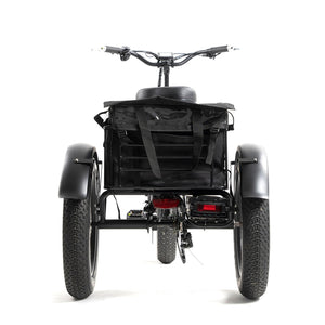 DWMEIGI MG1703 Electric Trike Black Rear Basket