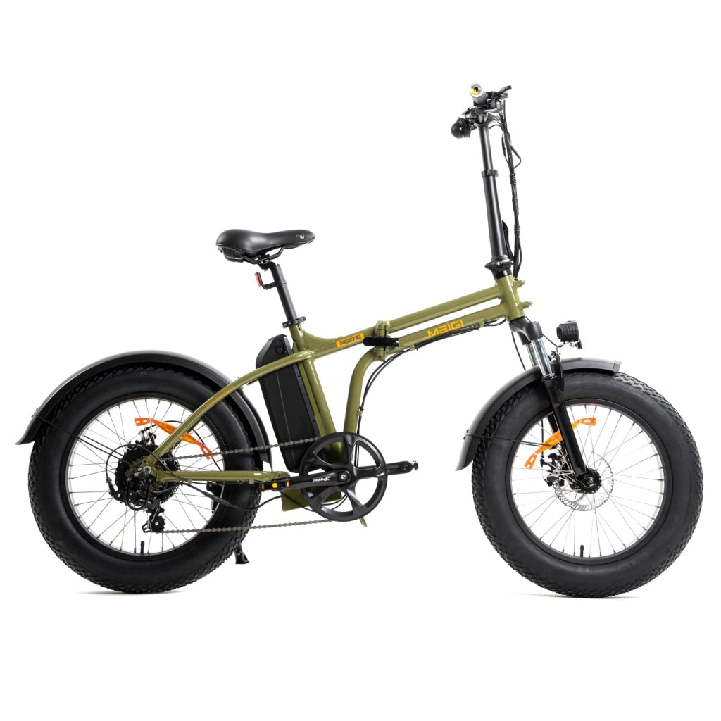 DWMEIGI DW8710 Electric Bicycle - Green