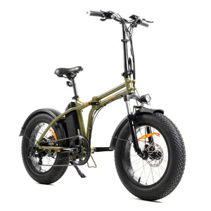 DWMEIGI DW8710 Electric Bicycle - Green