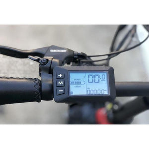 EMOJO Ram SS Electric Bike 750W LCD Display