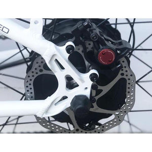 EMOJO Wildcat Pro 750W Electric Bike Disc Brake