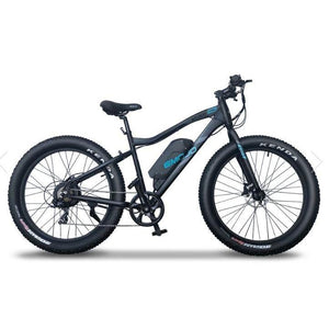 EMOJO Wildcat Pro Electric Bike 500W Black