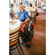 Load image into Gallery viewer, EV Rider TEQNO 4-Wheel Folding Electric Mobility Scooter 