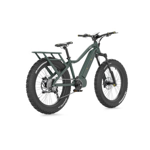 Apex 750W E-bike - E-Bikes